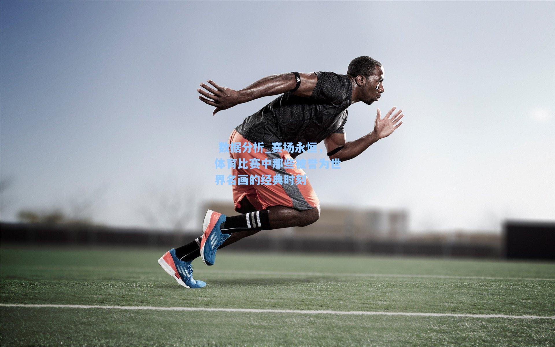 赛场永恒，体育比赛中那些被誉为世界名画的经典时刻